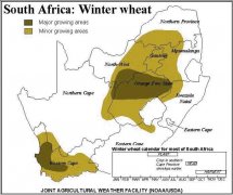 Wheat in South Africa