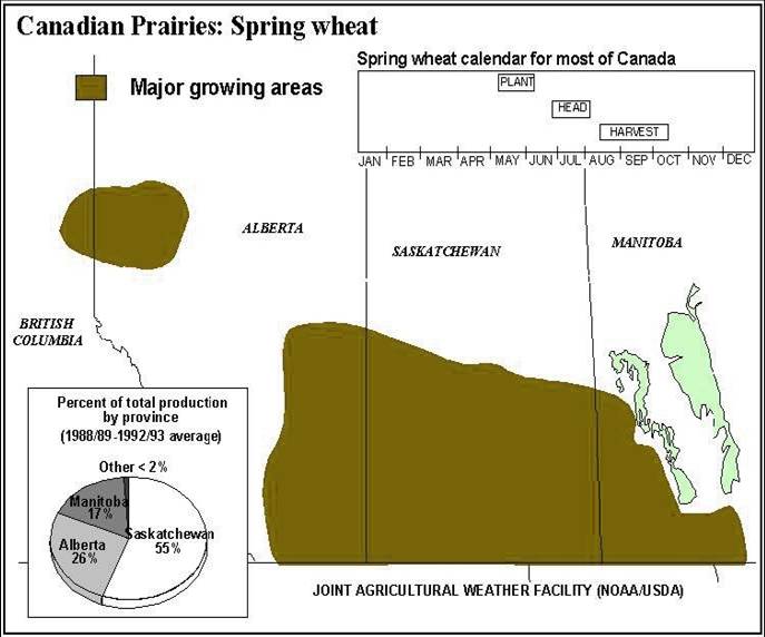 Wheat Plant in Canada