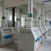 Flour Mill Machines|Grain Cleaning Equipment