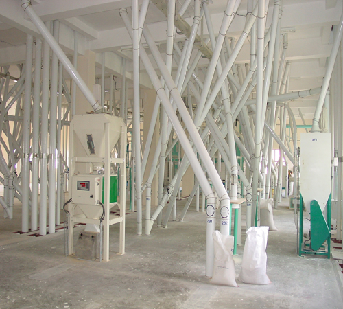 500t flour project