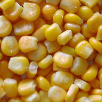 corn