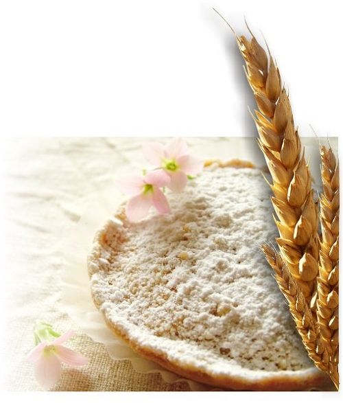 wheat flour mill producer