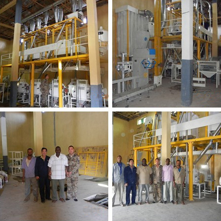 Buying Flour Milling Machine