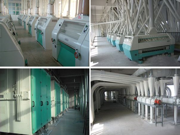 flour equipment in multi-storey plant