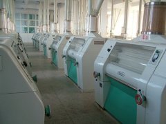Flour Production Line, Wheat Flour
