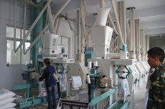 Wheat Flour Mill Plant Visit