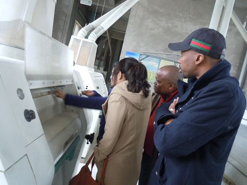 South Africa Client Visit Flour Mill Machine