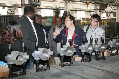 technical issues of wheat mill